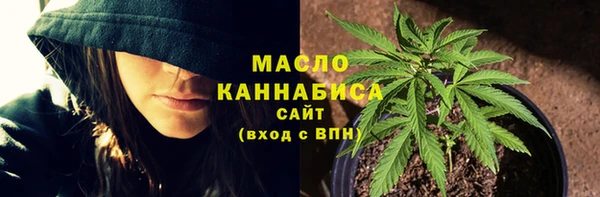 стаф Медногорск