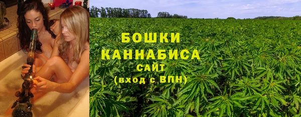 дмт Бикин