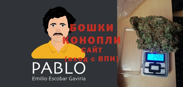 твердый Мегион