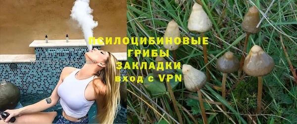 твердый Мегион