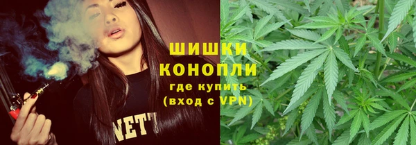 твердый Мегион