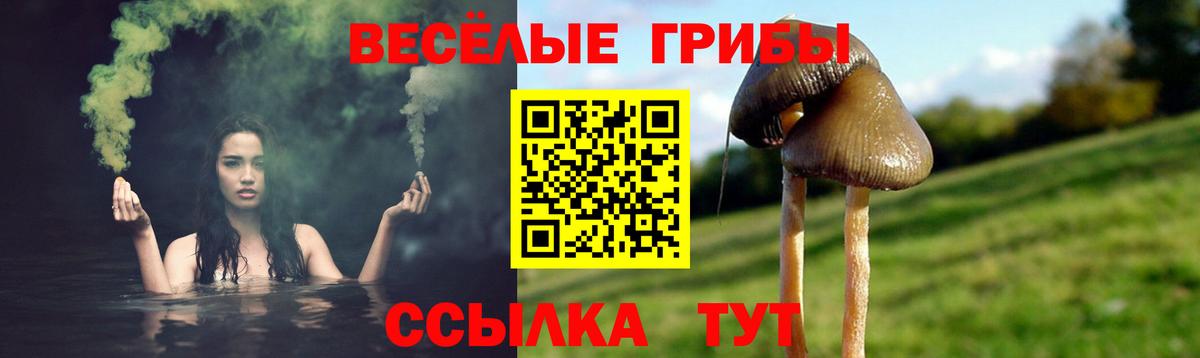 Галлюциногенные грибы Magic Shrooms  Вход с VPN  Усинск 
